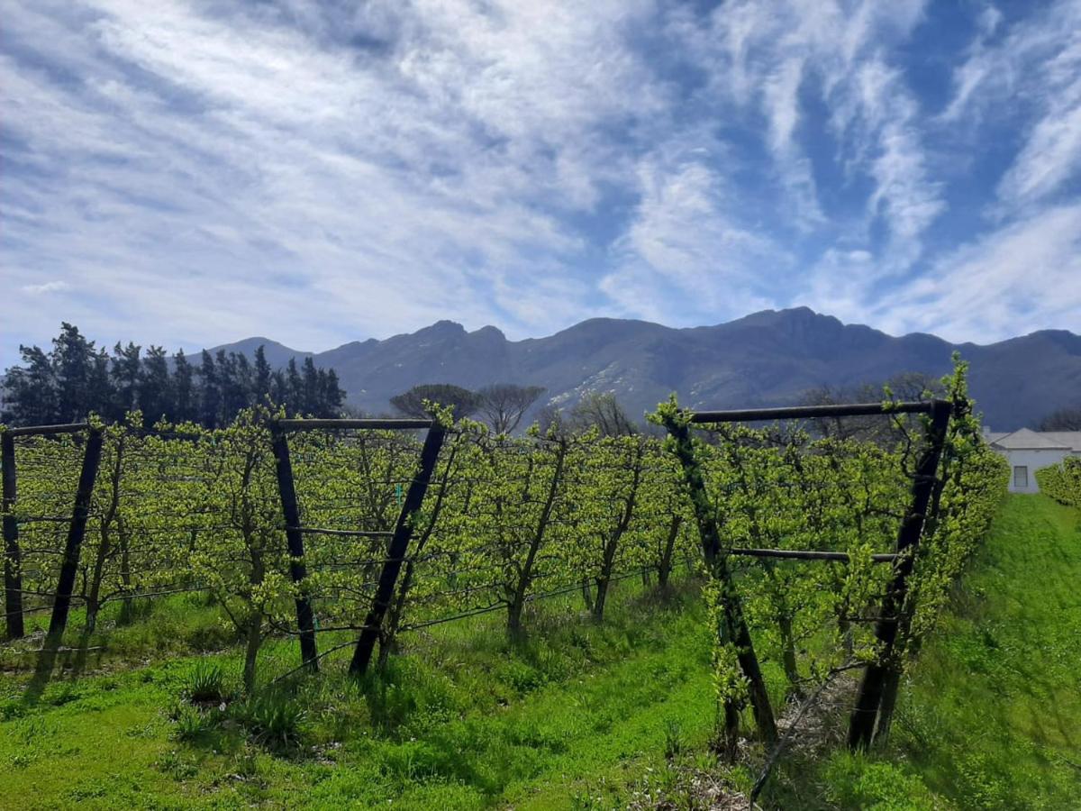 Gite Franschhoek Bagian luar foto